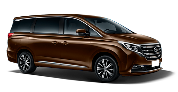GAC GN8 Коричневый Mocha Brown