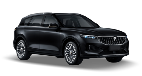 Voyah Free Искрящийся черный