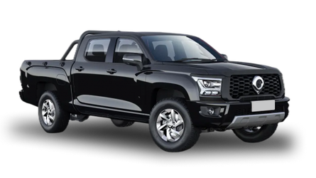 Great Wall Poer Kingkong Черный