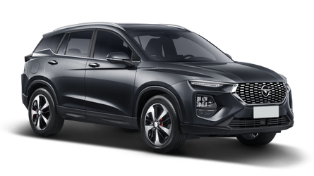 Haima 8s ЧЕРНЫЙ / KNIGHT BLACK