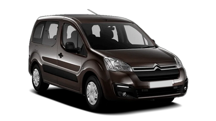 Citroen Berlingo Multispace  Коричневый / Brown Squirell